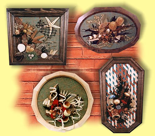 Pictures of our collection