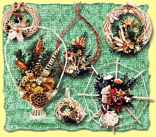 Willow Compositions - Polish collection